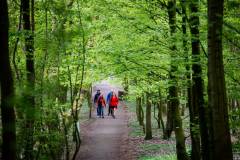 20230416-BrusselsNatureRunWalk-1600x900-MatsPalinckx-81